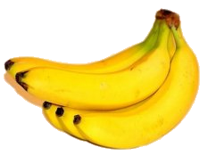 a bunch of bananas